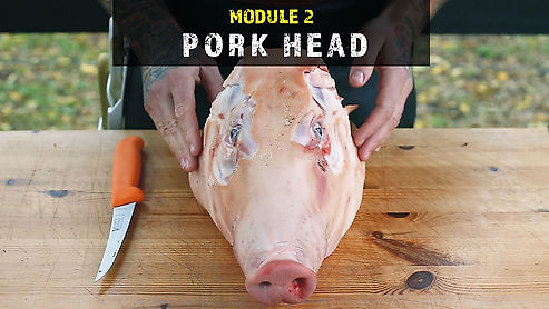 Mod2_Pork Head
